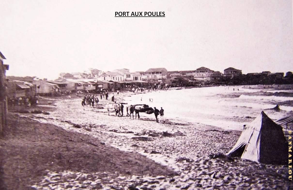 Port aux poules 028.jpg